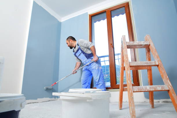 Best Industrial Mold Remediation  in Haliimaile, HI