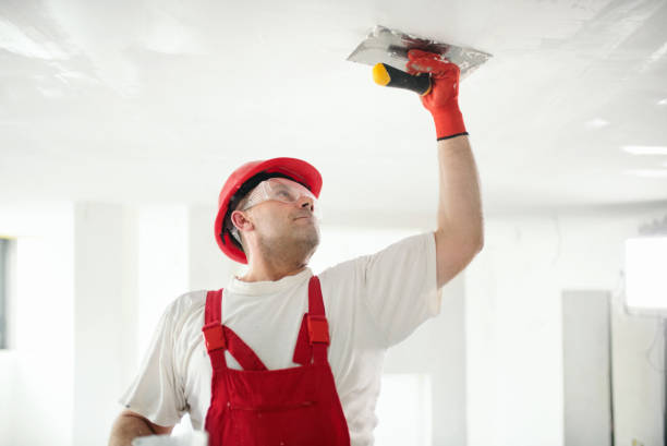 Best Real Estate Mold Inspection  in Haliimaile, HI