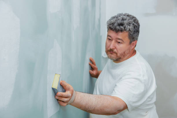 Best Emergency Mold Remediation  in Haliimaile, HI