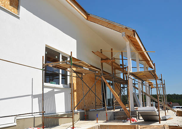 Best Basement Mold Removal  in Haliimaile, HI