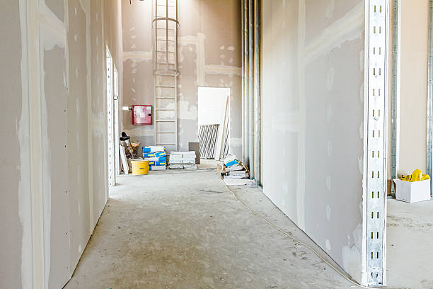 Trusted Haliimaile, HI Mold Removal Experts
